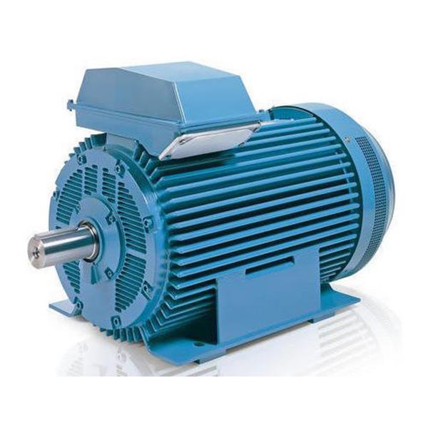 VFD Duty Motors 